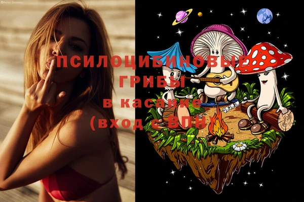 круглые Каменногорск