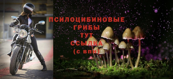 круглые Каменногорск